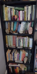 herbalMedicShelf.webp herbalMedicShelf.webp