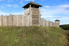 IMG_1252.webp