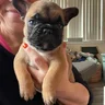 AngilinaAstroMom